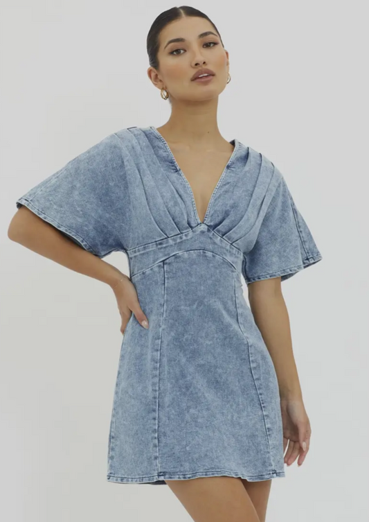 Denim Celine Dress