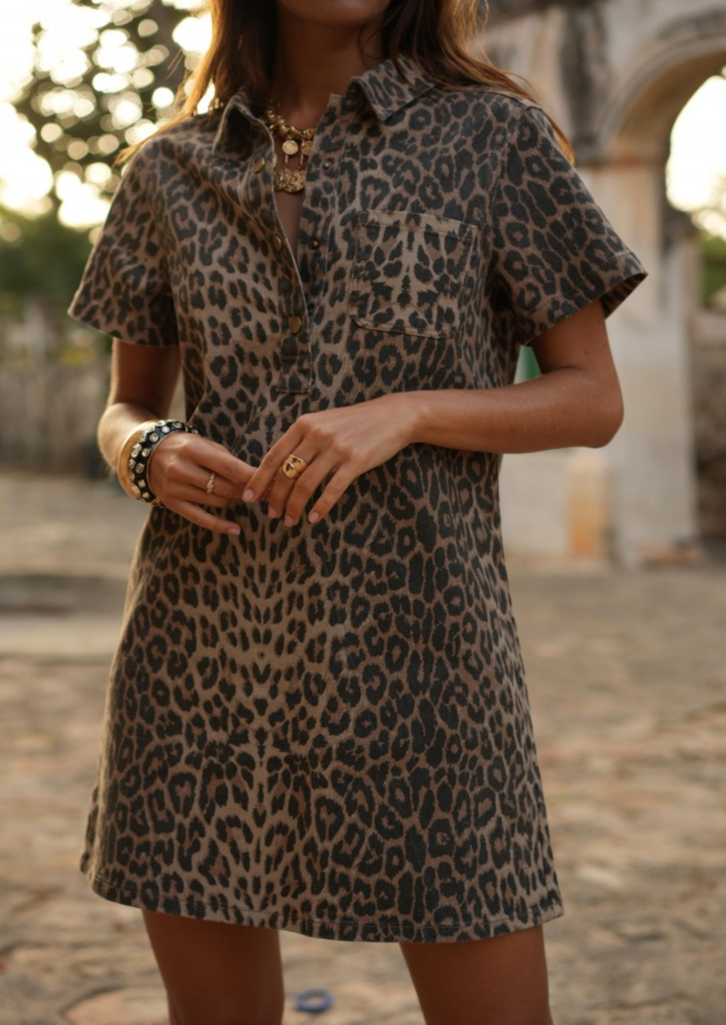 Leopard Print Trapeze Mini Dress
