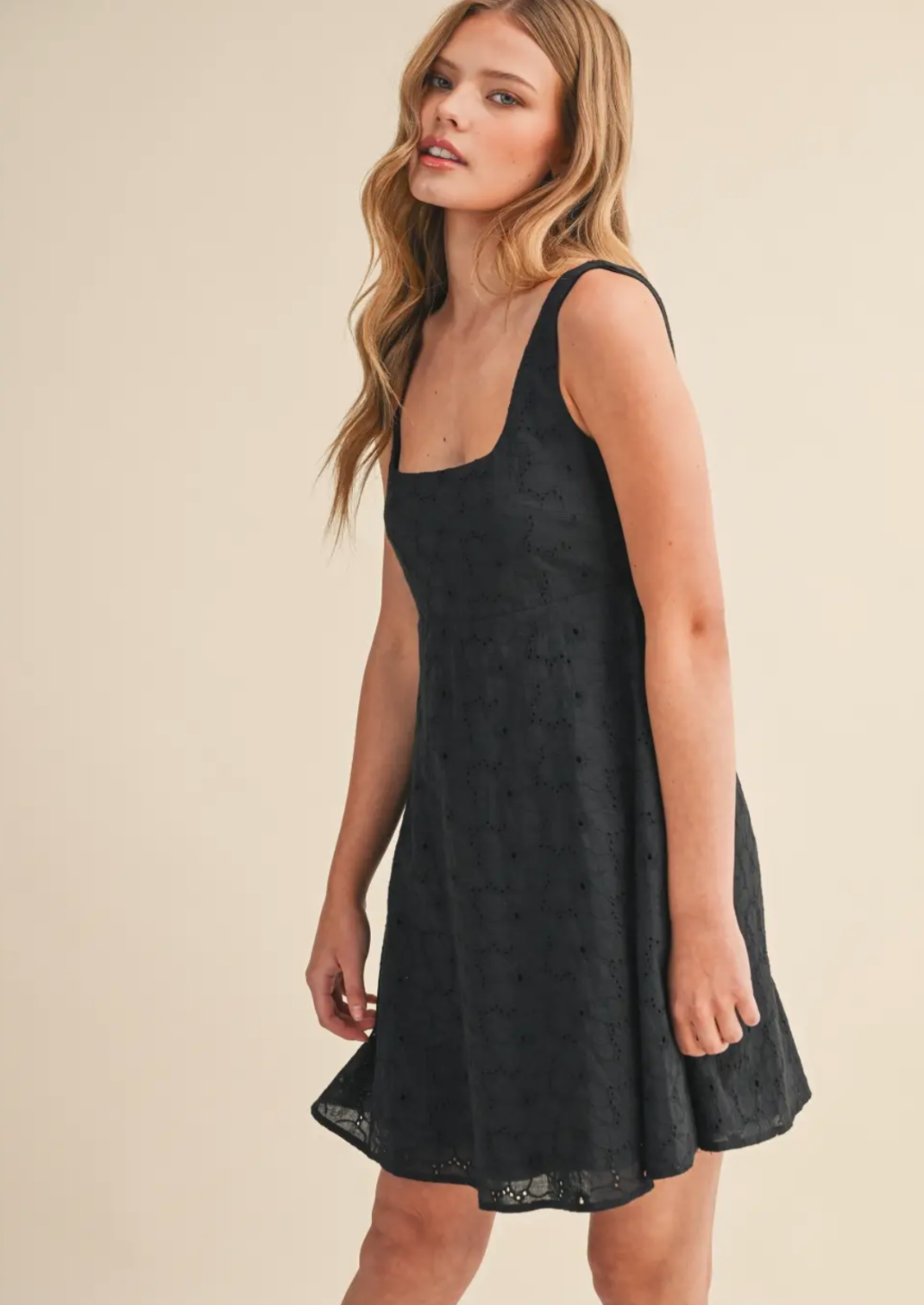 Eyelet Sleeveless Empire Flare Mini Dress